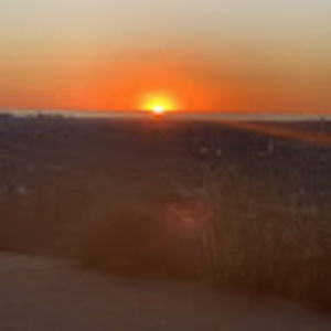 Meet your Posher, Lili